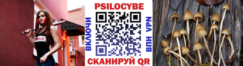 Галлюциногенные грибы GOLDEN TEACHER  купить  сайты  Горно-Алтайск 